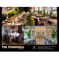 ATC PROJECT - DAS PENINSULA HOTEL